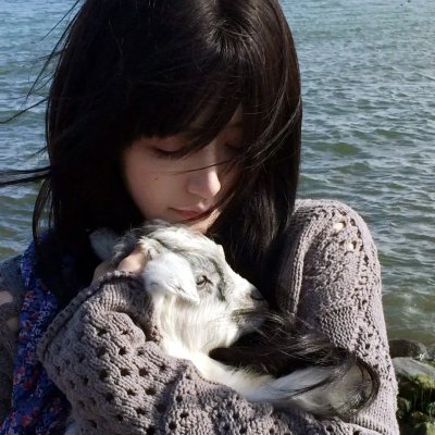 海绵宝宝